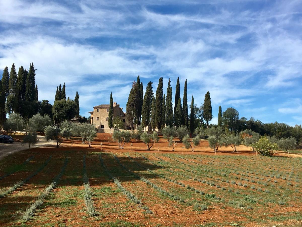 La Tenuta Di Castelvecchio Сан-Джиминьяно Экстерьер фото